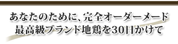 お客様からのご要望が多く、やっと製品化することができました