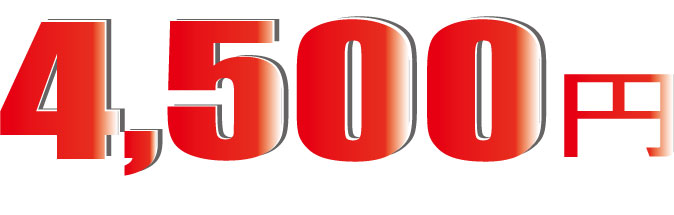 4500�~���������T�t��