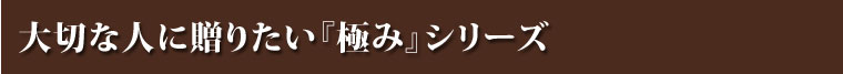 お歳暮プレミアムギフトシリーズ
