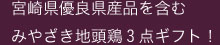 �݂₴���n���{�V���[�Y��ԗ��������؂ȓ��e�ł�