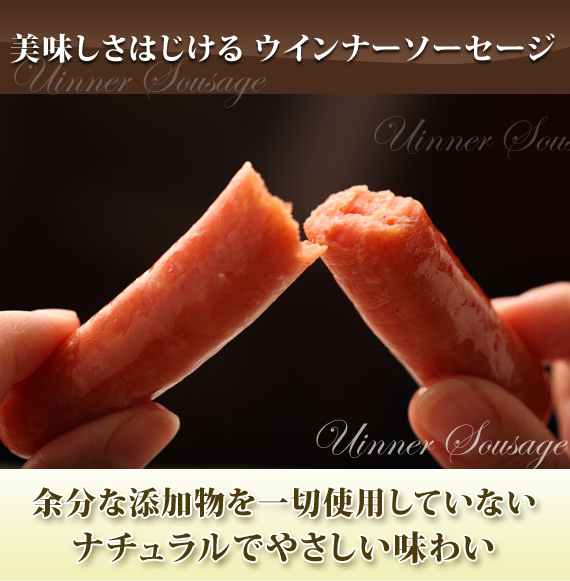 �E�C���i�[�\�[�Z�[�W