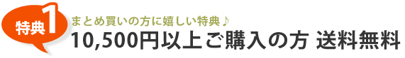1万円以上ご購入の方送料無料