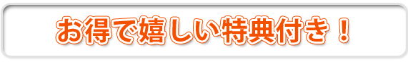 こんなにお得な3大特典付き