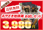 �n���{�������M�t�g