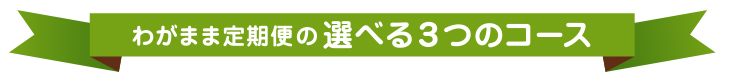 わがまま定期便の選べる３つのコース