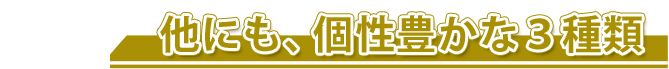 1980円送料無料お試しセット今までの感覚が変わるほどの逸品