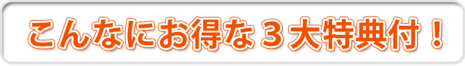 1980円送料無料お試しセット今までの感覚が変わるほどの逸品