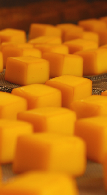 cube�X���[�N�`�[�Y�X���[�J�[���犘�o���̏��