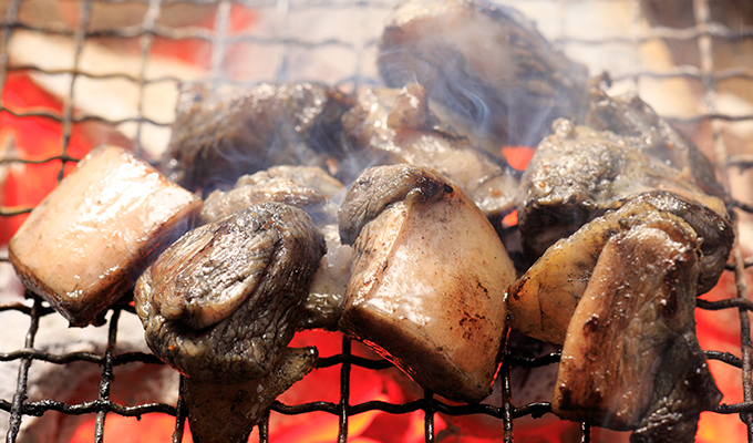 ＢＢＱや炭火での地鶏炭火焼の美味しい焼き方