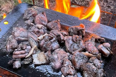 宮崎地鶏の炭火焼をお取り寄せするなら！満天青空レストランでも話題のスモーク・エースとは？